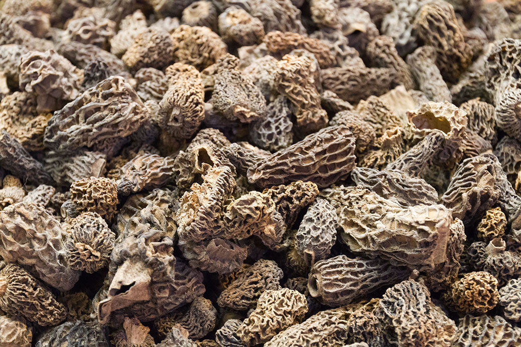 Frozen Morel in Bag (Whole)