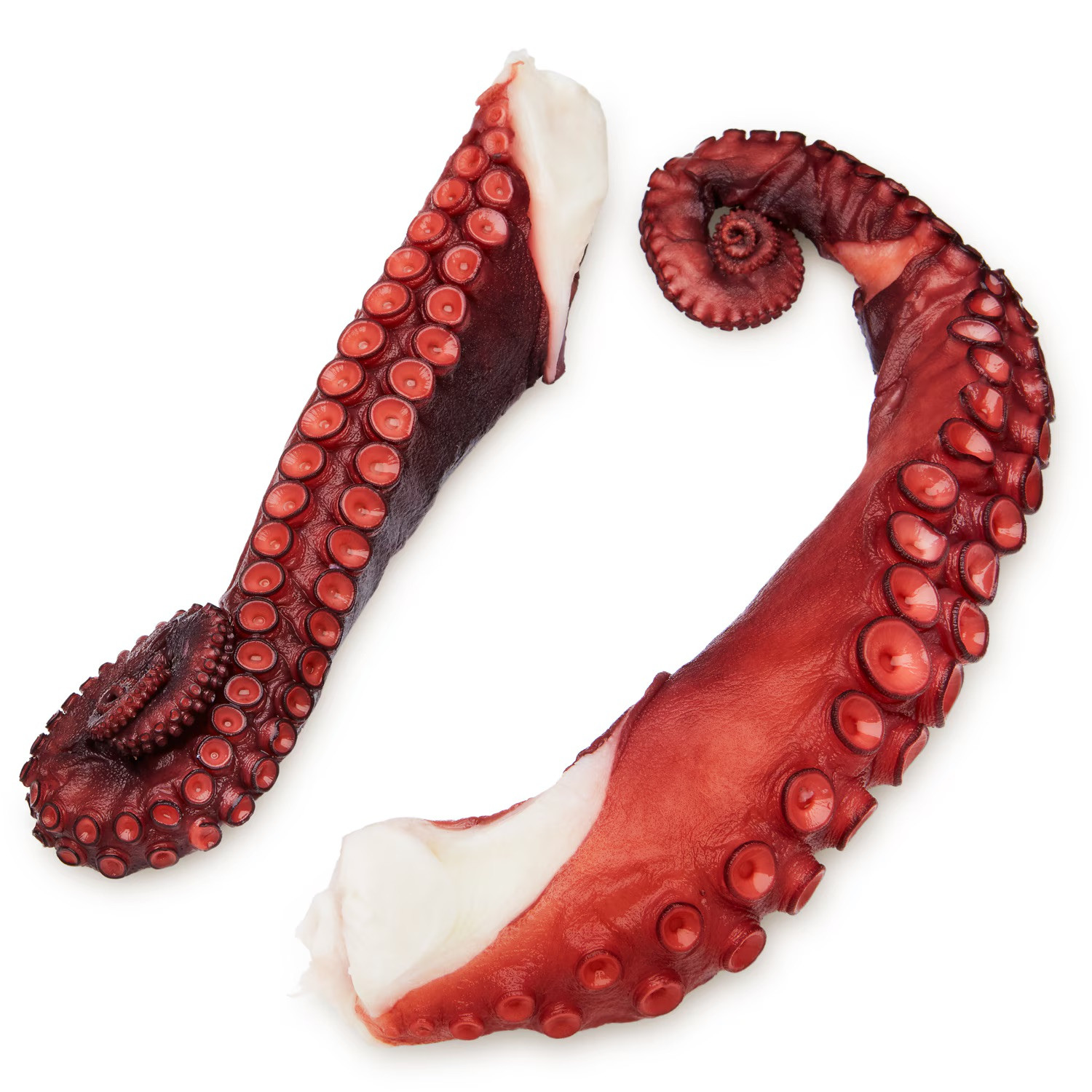 Frozen Raw Octopus legs（250-350g/pcs）