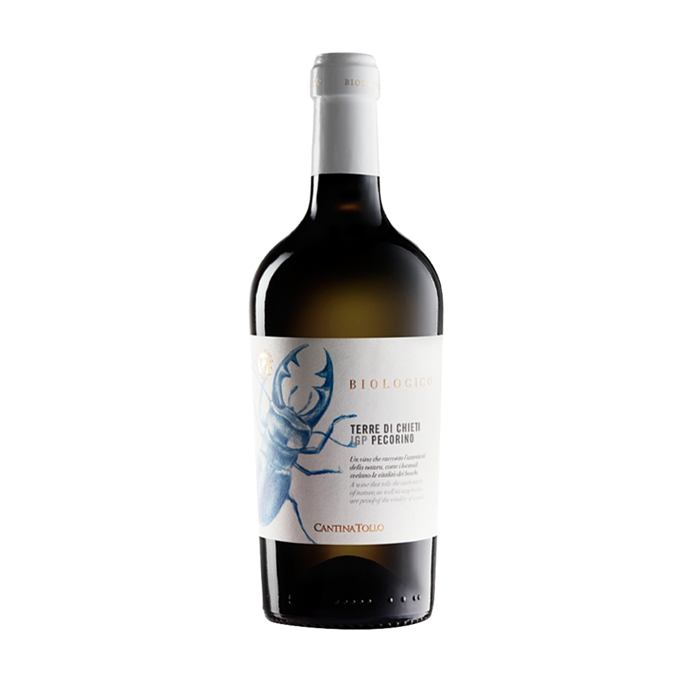 Pecorino