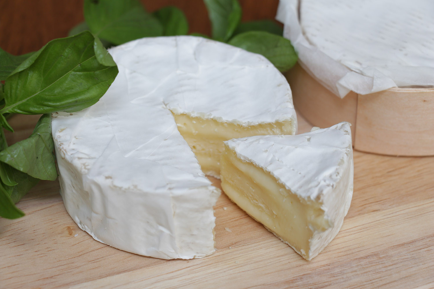 Camembert