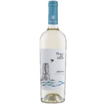 Chardonnay 