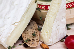 Paturages Comtois Brie Paturages