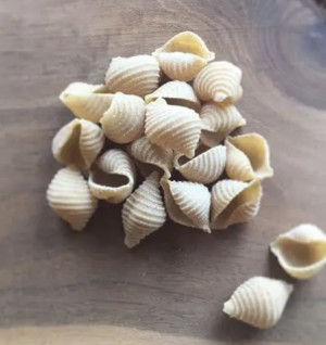 Conchiglie Italia 250g
