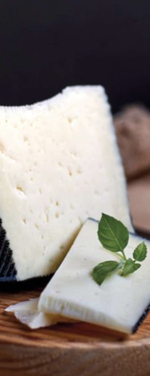 Gastronomy mixed milk cheese semicured wheel